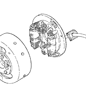 Flywheel magneto assembly.