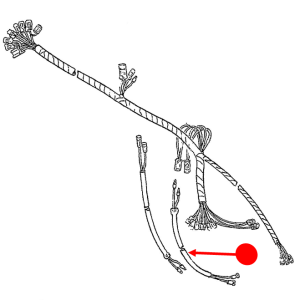 Stop light switch wire (rear)