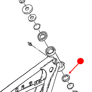 Steering head race (bottom)