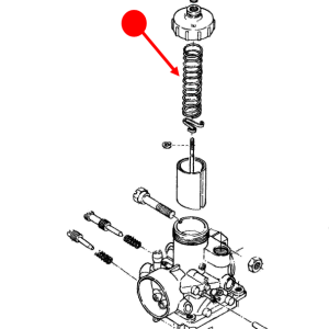Throttle valve spring