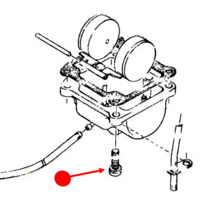 Screw with spring washer