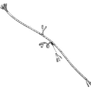 Wiring harness Model 92B+ 94