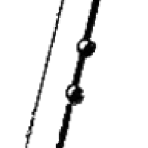 Fork outer tube (right)