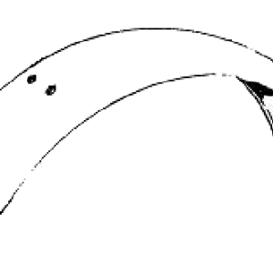 Rear fender for the model 96