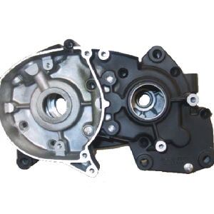 Crankcase assm Model 99 01 02