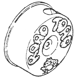 Air cleaner cover for the Road Toad