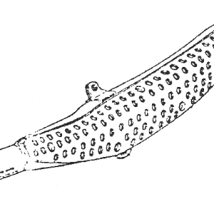 Muffler Model 99 01 02