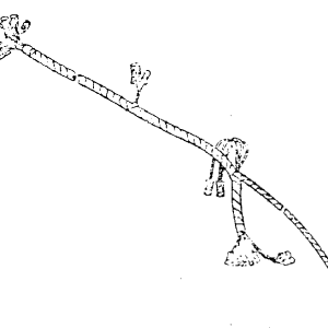 Model 99 Road Toad and model 01 Dirt squirt (frame numbers <k22701)  main wire harness