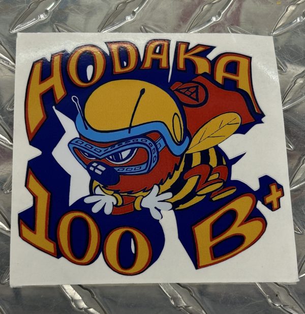 HODAKA20B.jpg