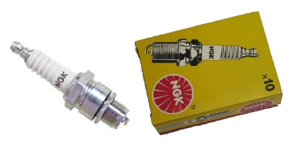 NGKstd10.jpg