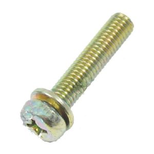 Screw with spring washer