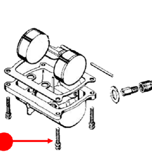 Float chamber (bowl) screw with spring washer